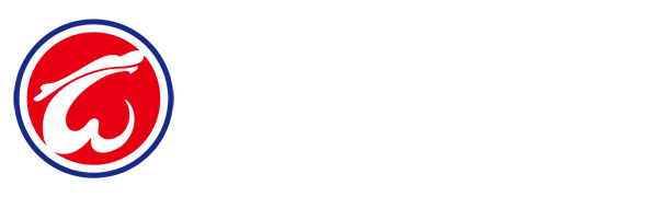 电竞比分